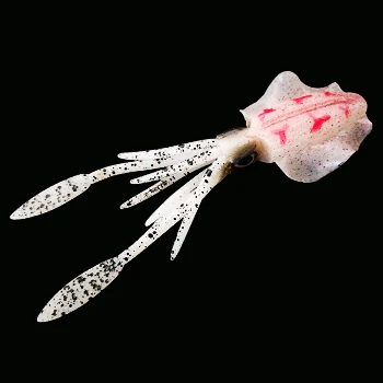 20g squid lure I