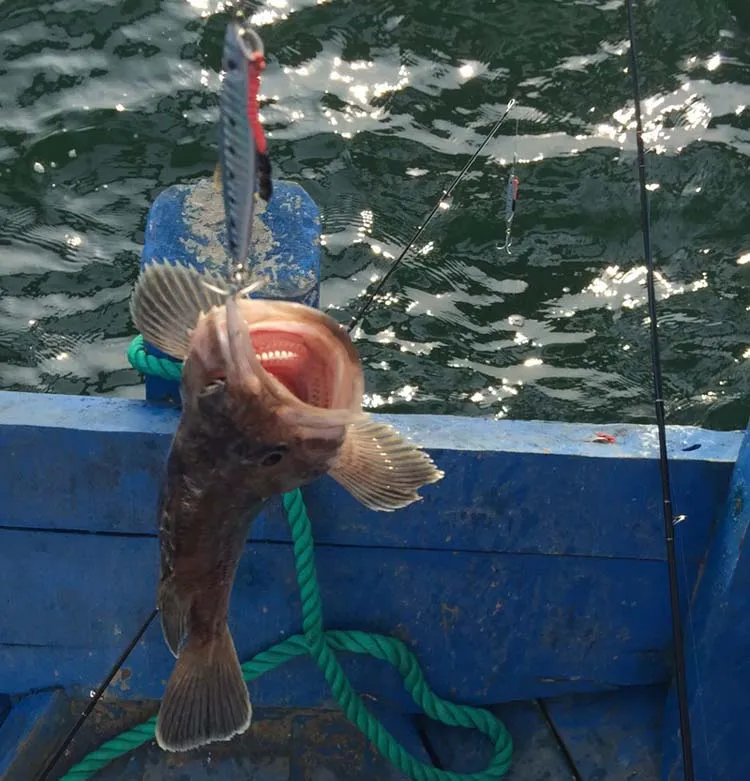 Pequeño señuelo de plata con cuchillo Jigging, anzuelo de montaje, plantilla lenta, lubina, caballa, atún, juego de pesca, 21g - imagen 3