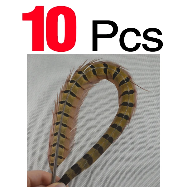 10PCS