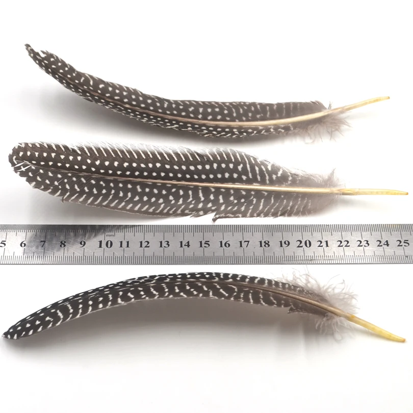 MNFT 10 Uds Color negro Natural puntos blancos plumas de faisán Material de atado de pesca con mosca para moscas de cebo de ninfa 15-22cm - imagen 2