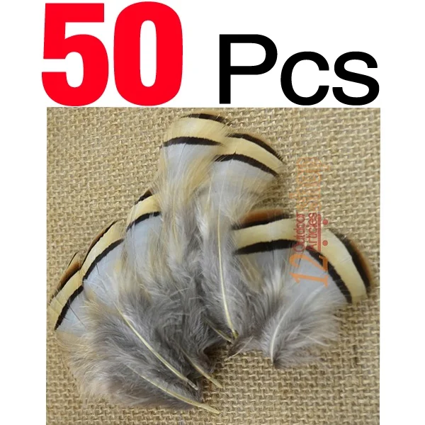 50Pcs
