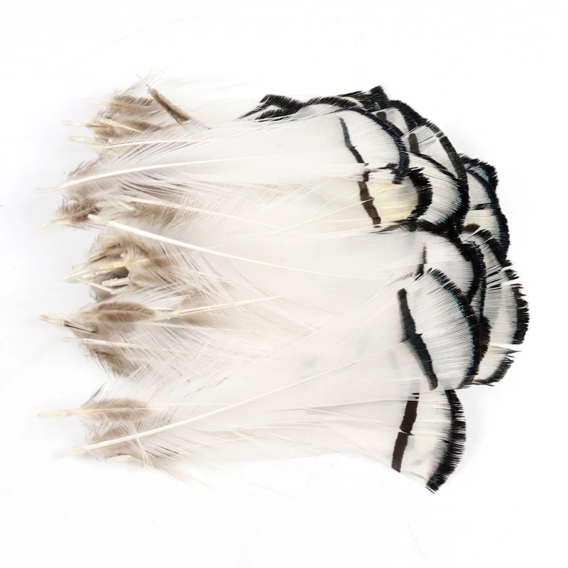 Bimoo-pluma Amherst Tippet Nymph Wet Streamer Wing Tag, Material para atar moscas, Cabeza de Acero de salmón, 10 Uds. - imagen 5