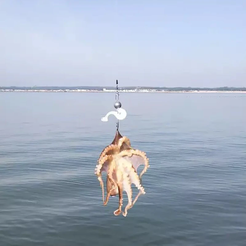 Appâts artificiels souples en pton pour la pêche à la carpe, leurres en plastique avec queue en T, 5 pièces de 7cm et 2g - imagen 5