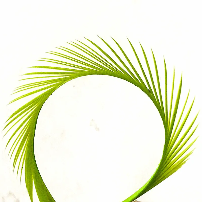 KKWEZVA 21 Uds plumas de ganso Biot 15-20cm materiales para atar moscas de ganso Biots para ninfa y moscas de Lava colas divididas y alas tempranas - imagen 3