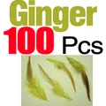 ginger 100pcs