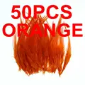 50pcs  orange