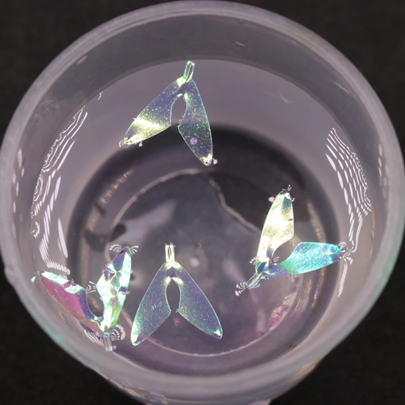 Bimoo-ALAS de abeja precortadas, materiales de atado de mosca de abeja realista, alas de insecto transparentes, protección UV, 20 pares/caja - imagen 5