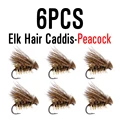 6pcs  Peacock