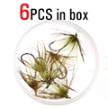 Green 6pcs