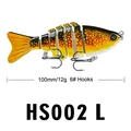 HS002 L