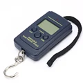 Fishing scale