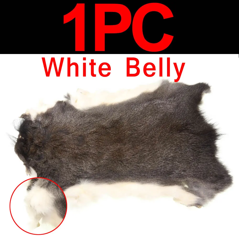 1PC White Belly