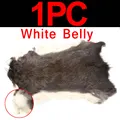 1PC White Belly
