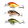 ACD(3pcs)