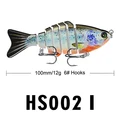 HS002 I