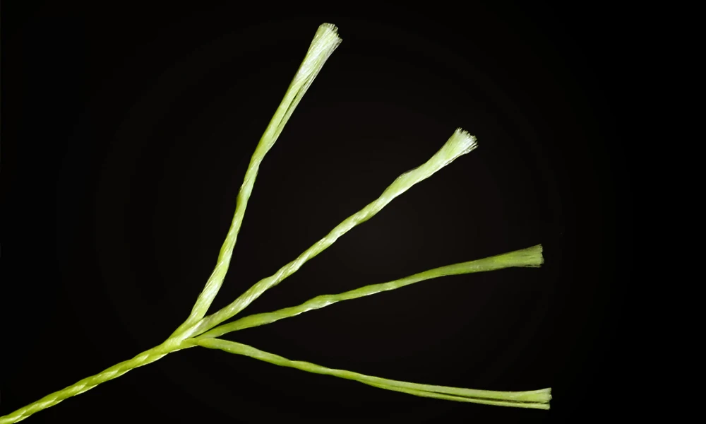 Mejora de la claridad visual con asistencia del lenguaje natural