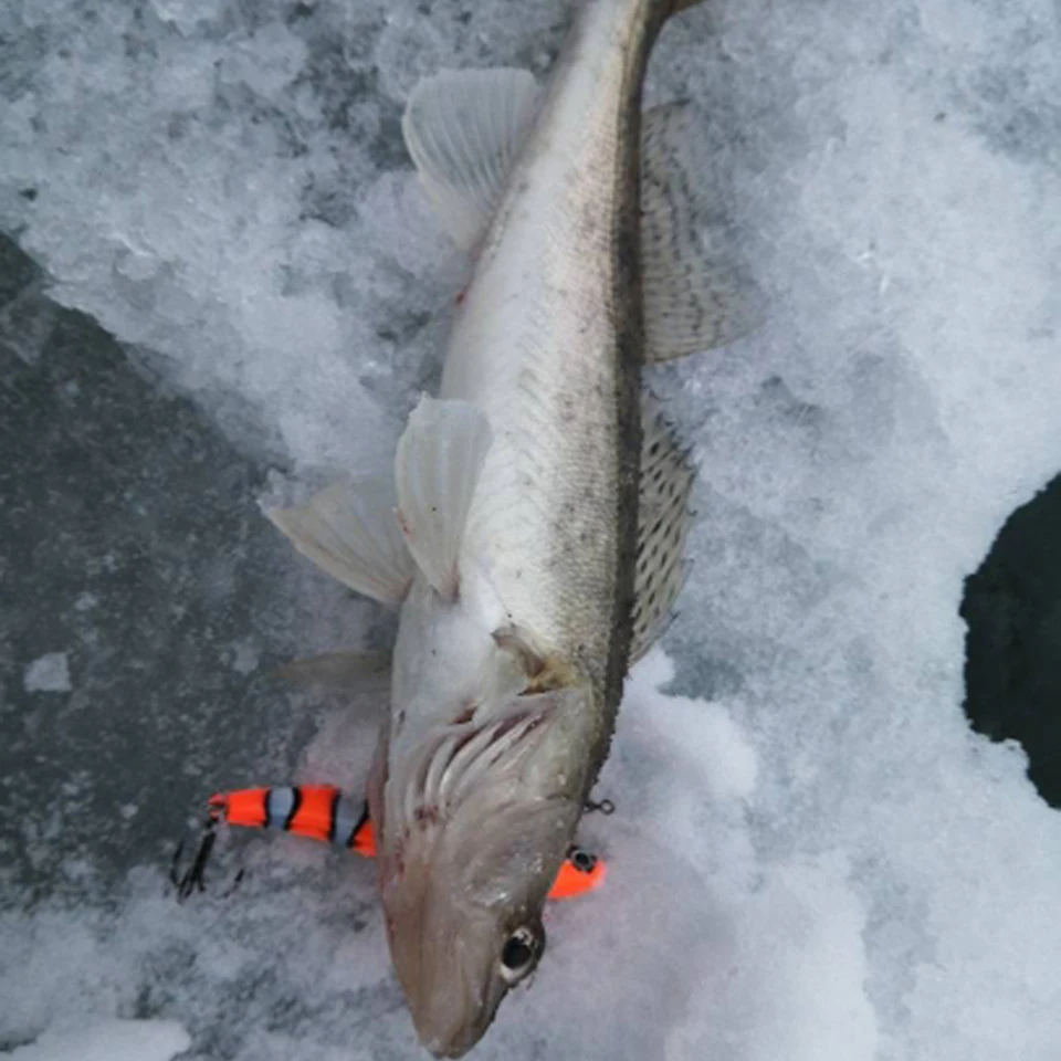 WALK FISH-señuelos de pesca VIB, 1 unidad, 7,9 cm, 14g, cebo duro Artificial que se hunde, silencioso, pesca en hielo en invierno, cebo vibratorio para Lucio - imagen 5