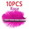 Rose 10PCS