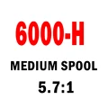 6000H