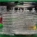 River Shrimp Color