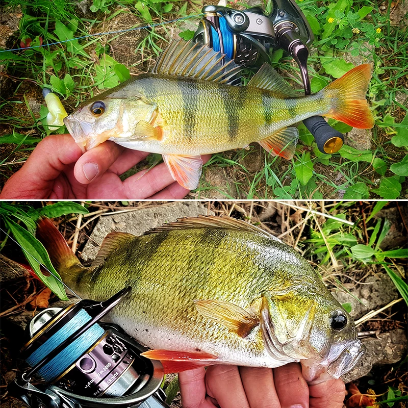 TSURINOYA-Carrete de Pesca Giratorio, De 2 Carretes, Arrastre Máximo de Carbono, para Carpa, Agua Salada, Lucio, JAGUAR 1000, 2000, 3000, 185 g, 6kg - imagen 5