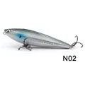 D13 N02