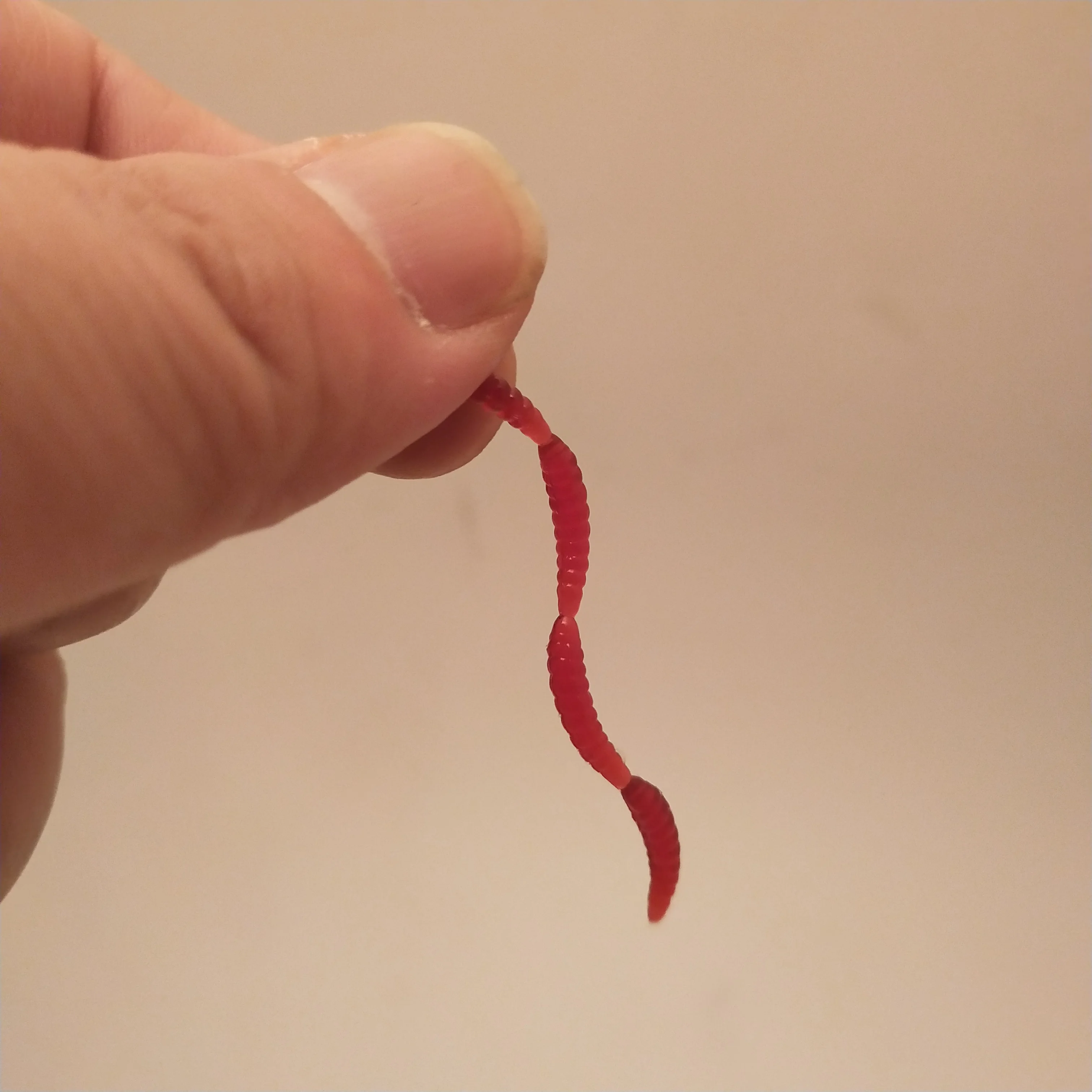 POETRYYI-señuelo de pesca rojo de 4 secciones, cebo suave de gusano de tierra, Swimbaits de silicona, cebos artificiales de Color para pesca de carpa, 20 unidades por lote - imagen 4