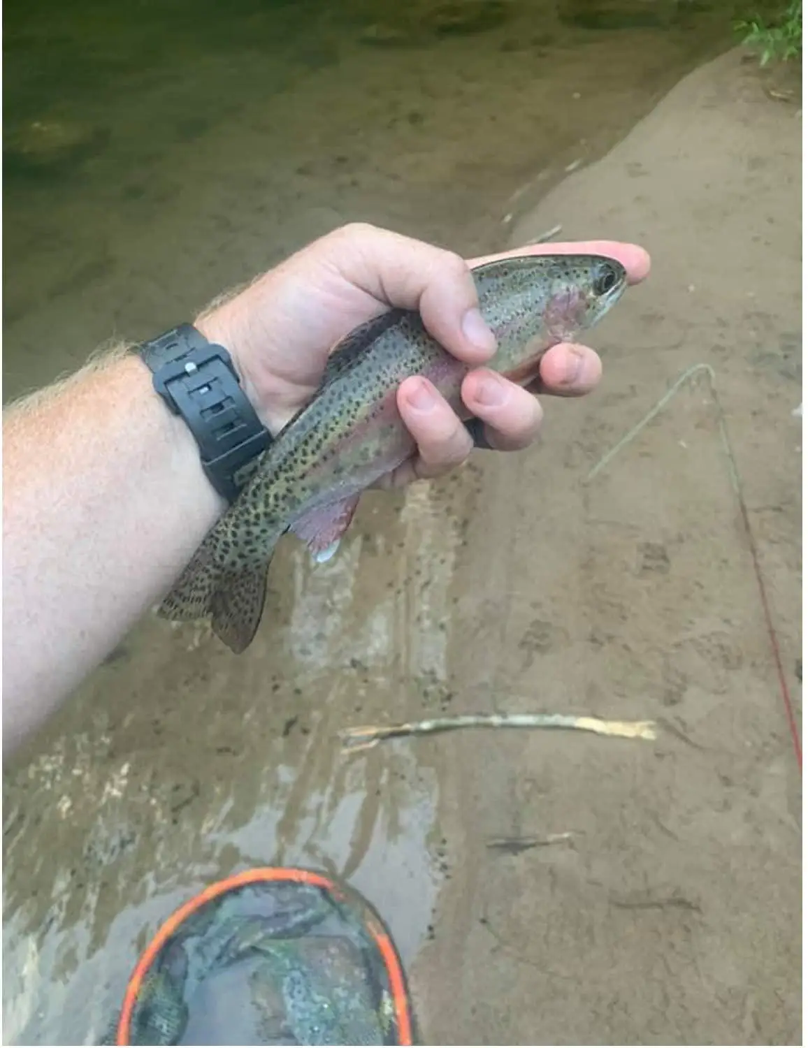 Aventik-red de pesca flotante, revestimiento de goma de camuflaje, aterrizaje, Wade, pesca, Surf, pescado, agua salada fresca, red con mango de espuma EVA - imagen 5