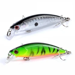 Crankbait para carpa – Ojos 3D efecto realista