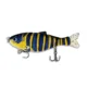 Color 9 swimbait