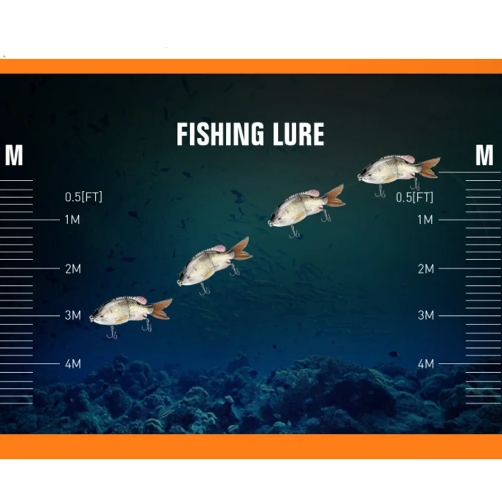 Un gráfico de pescado con las palabras de pesca señora sobre ellas