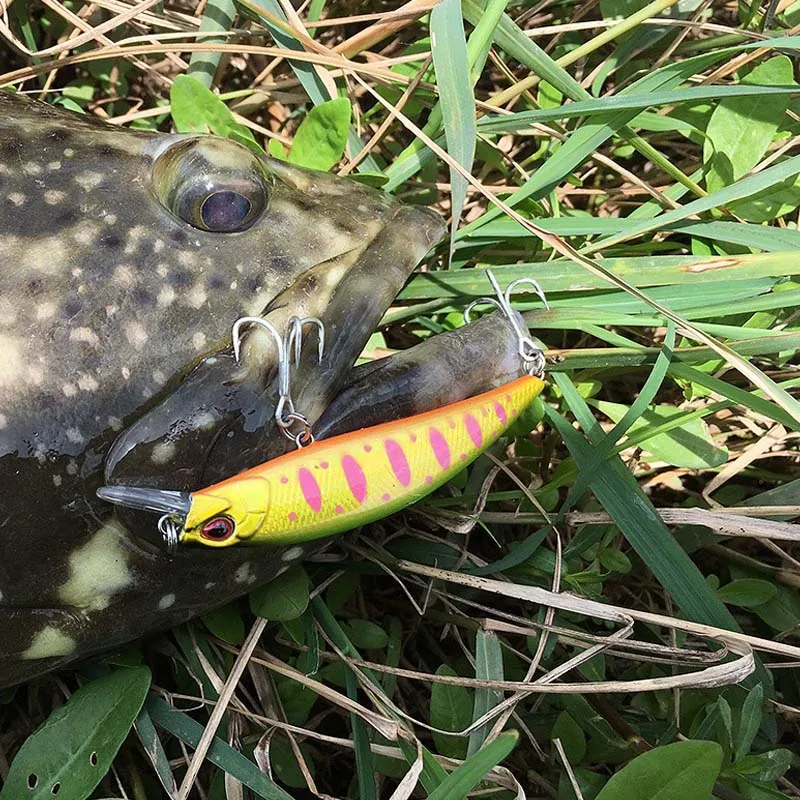 Señuelo de Pesca Wobbling de diseño japonés, 70mm, 10g, que se hunde pececillo, cebos artificiales para perca, lubina, Lucio, Tro, 1 pieza - imagen 3