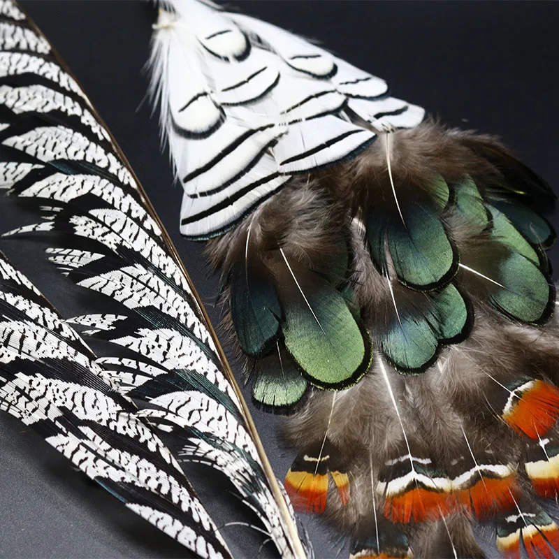 Hot 1set natural Lady Amherst's pheasant feathers assorted LADY AMHERST tippets ¢er tail feather fly tying feather materials - imagen 2