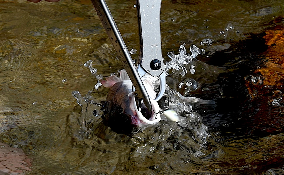 Pinza de pescado con mordazas dentadas