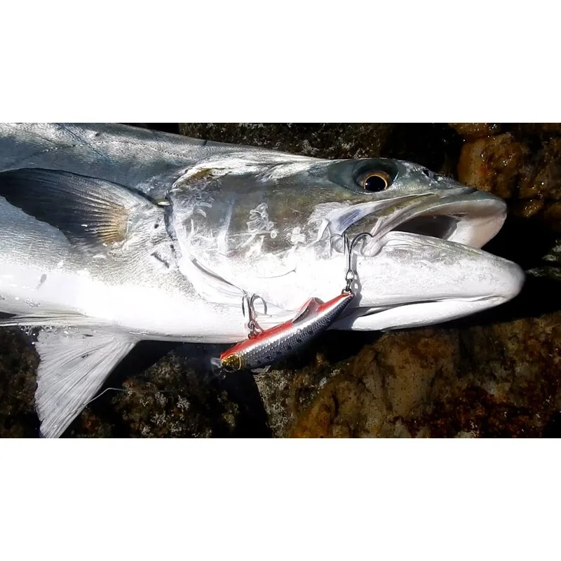 Señuelos de Pesca de pececillos de mar, señuelo de pesca de lengua corta biónica de plástico, señuelo Artificial, accesorios de pesca, 92mm/40g, nuevo - imagen 5