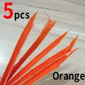 ORANGE 5PCS