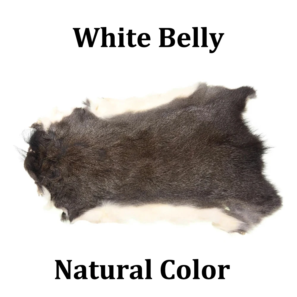 1PC White Belly