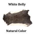 1PC White Belly