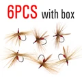 6pcs with box