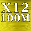 X12 Yellow 100M