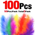 100Pcs Random Mixed