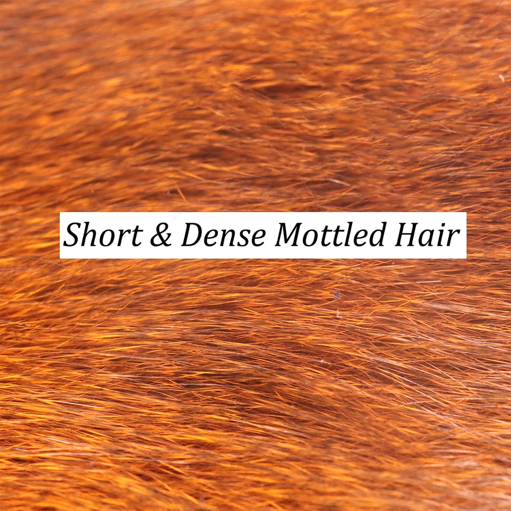 Bimoo, 2mm-3mm, rayas de ardilla de pino suave precortadas, Material de atado de moscas de piel, tiras Zonker estrechas para serpentinas, ninfas de sanguijuela - imagen 3