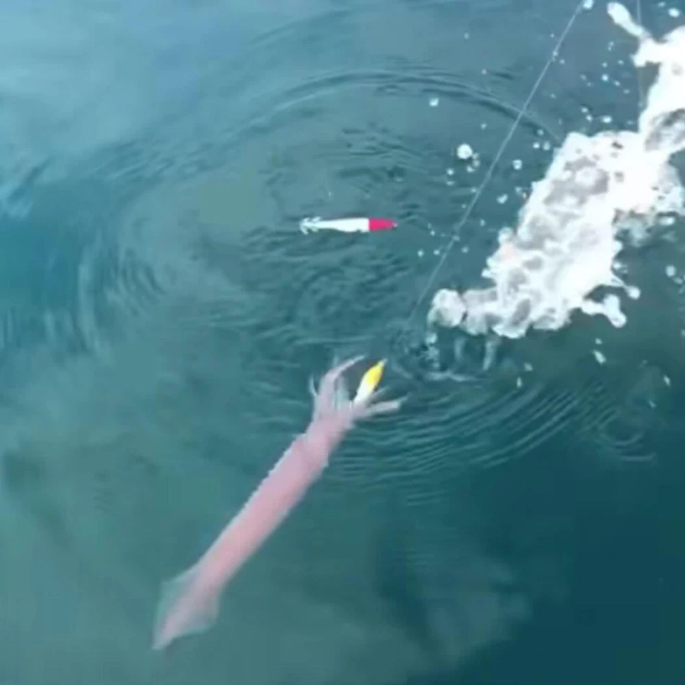 Señuelo luminoso de doble capa para pesca en el mar, anzuelo de calamar, pulpo, camarón de madera Artificial brillante, 10,5 cm/6g, 5 unids/lote por paquete - imagen 5