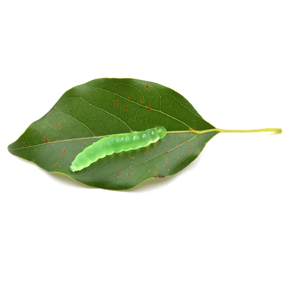 MNFT Pan Bug 3,8 cm – Gusano artificial sin olor para carpa - imagen 4