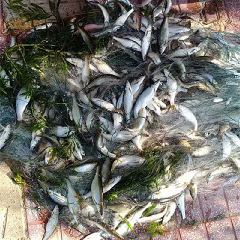 Red de pesca de una sola capa, monofilamento, Material de nailon, trampa de pesca, red de enmalle con flotador, herramienta de accesorios de captura de invierno - imagen 3