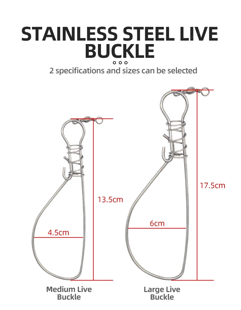 Descubra la versatilidad de nuestras hebillas vivas de acero inoxidable disponibles en tamaños medianos y grandes para una funcionalidad y durabilidad óptimas