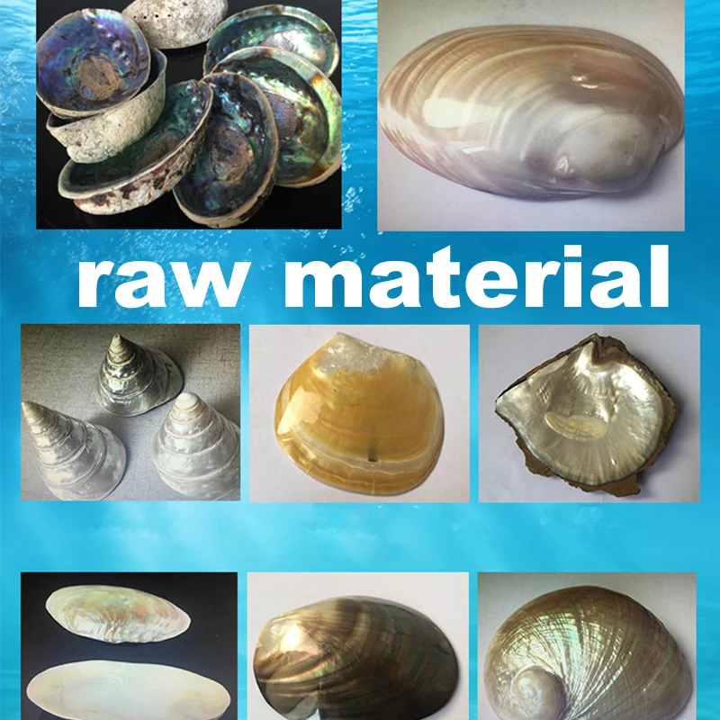 Hoja laminada de concha Natural de 24x14cm, película adhesiva recubierta de Paua, pegatina para señuelo de pesca, Material de decoración de construcción, 1 ud. - imagen 5