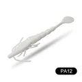 PA12
