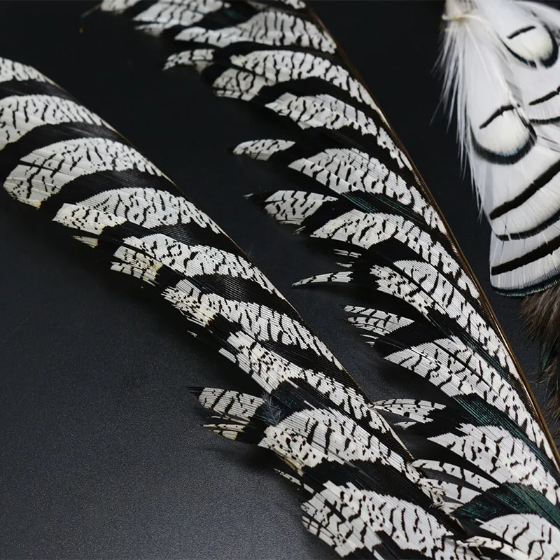 Hot 1set natural Lady Amherst's pheasant feathers assorted LADY AMHERST tippets ¢er tail feather fly tying feather materials - imagen 3