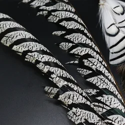 Amherst plumas faisán natural surtido, cola central, para moscas